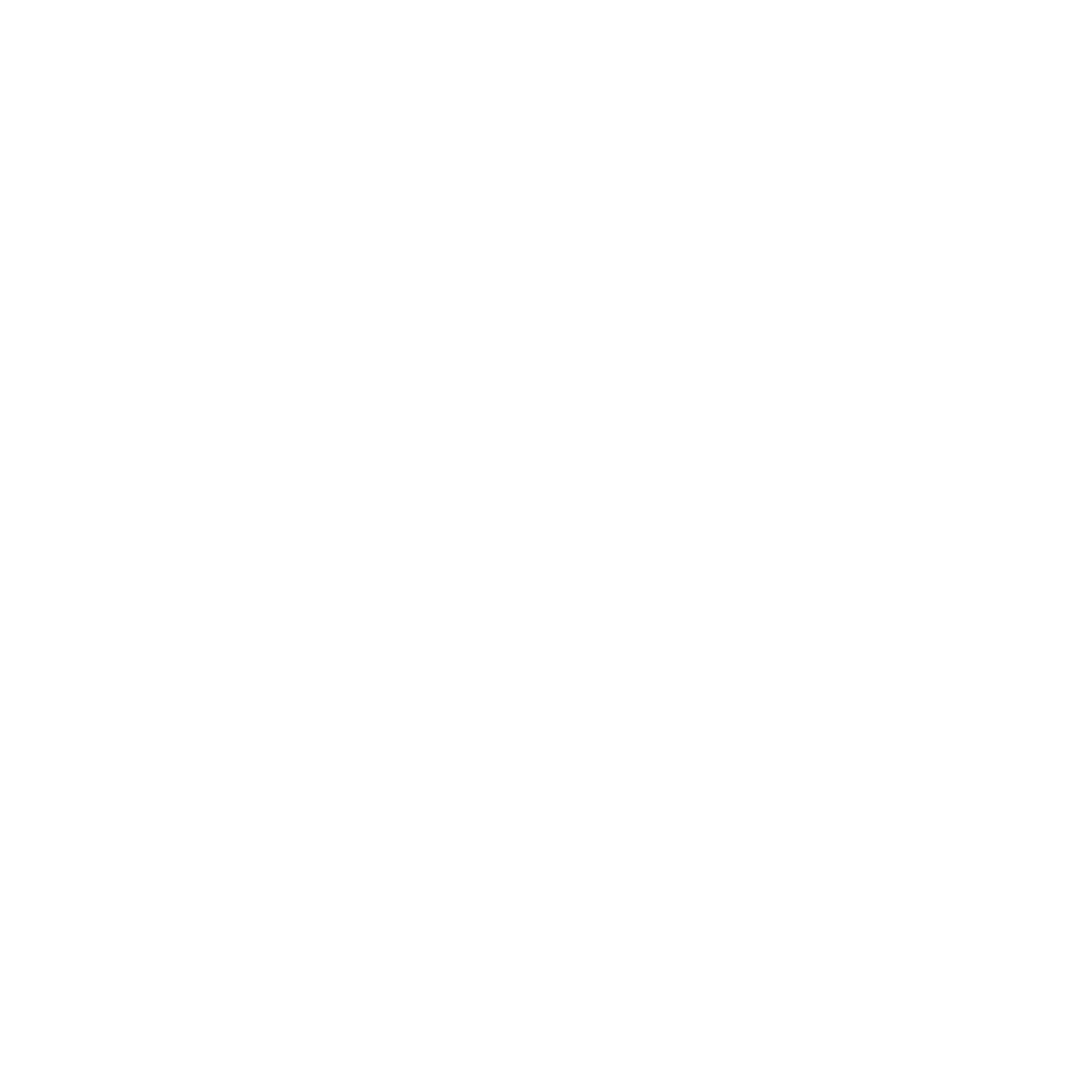 Logo IN9VA